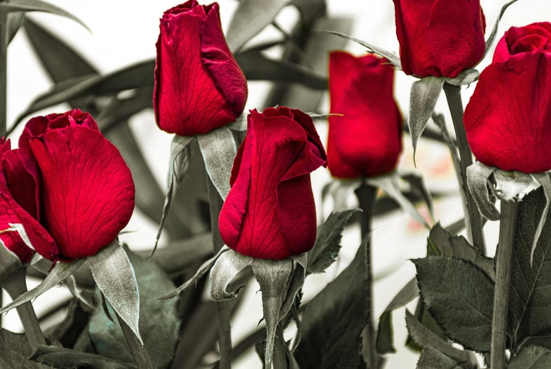 Magical Floral Arrangements